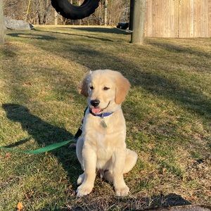 Meet your Posher, Kate